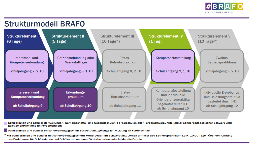 Strukturmodell BRAFO web